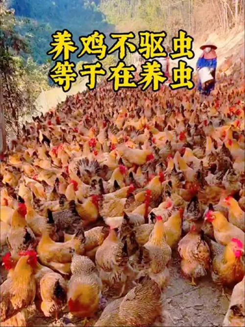 最好的房屋装修风水效果图 最好的房屋装修风水效果图