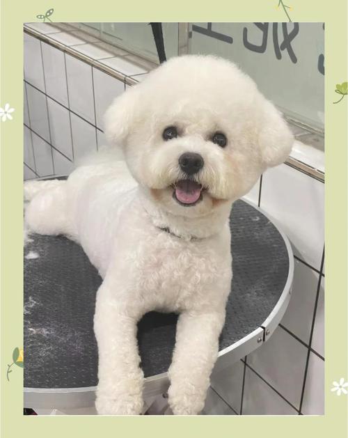 ���������µ��к�������������ֻ�����ʶ�ļ�������ѡ��(���������µ��к�������������ֻ�����ʶ�ļ������ַ�ѡ���Ƿ����)