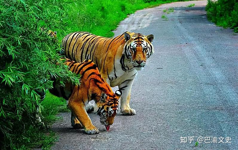 �μ�Ů����ɱ�� �μ�Ů�Ѱ���ɱ��