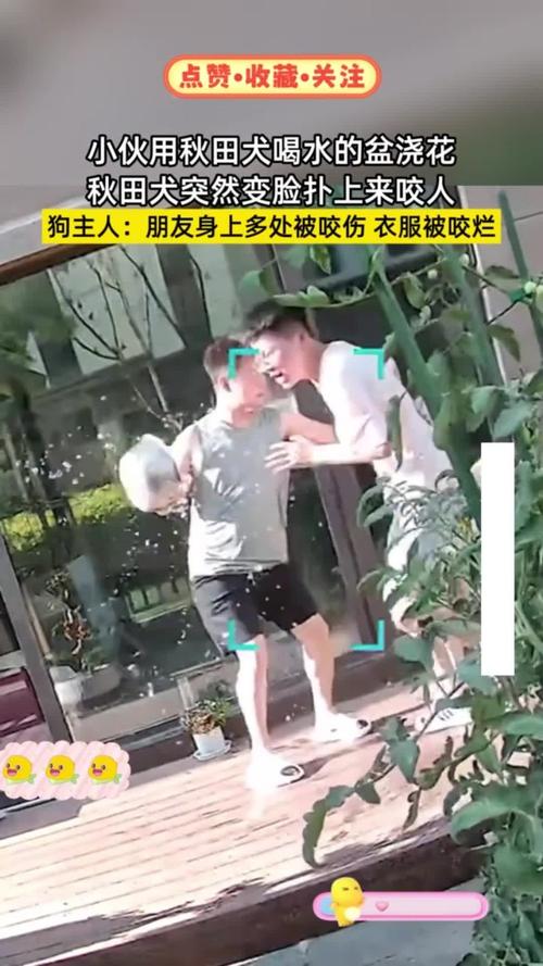 十二生肖属相最佳婚配大全,属鼠的和什么属相 十二生肖属相最佳婚配大全,属鼠的和什么属相