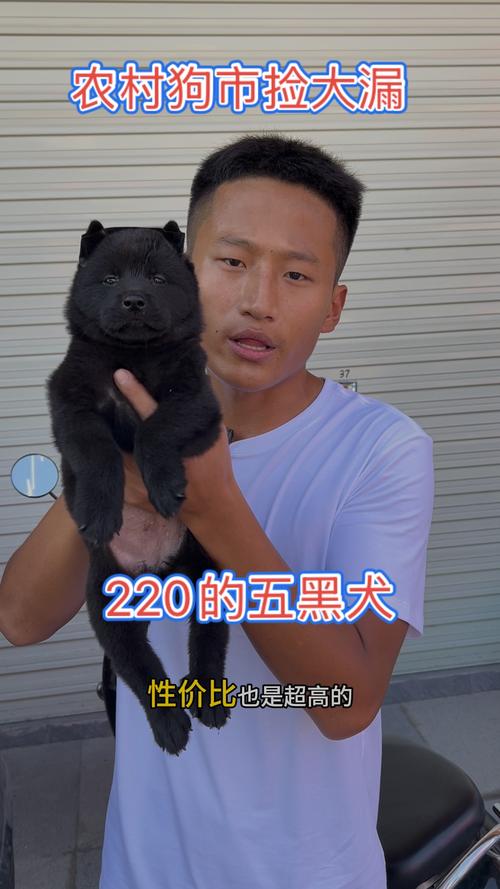 怎样看女人面相?拯救单身狗! 怎样看女人面相?拯救单身狗!
