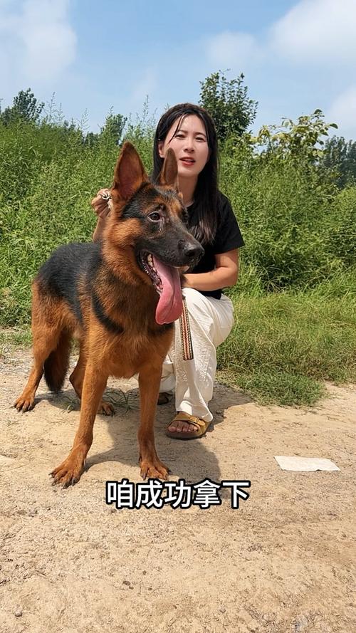 金星天蝎金牛座(天蝎金星天蝎) 金星天蝎金牛座(天蝎金星天蝎)