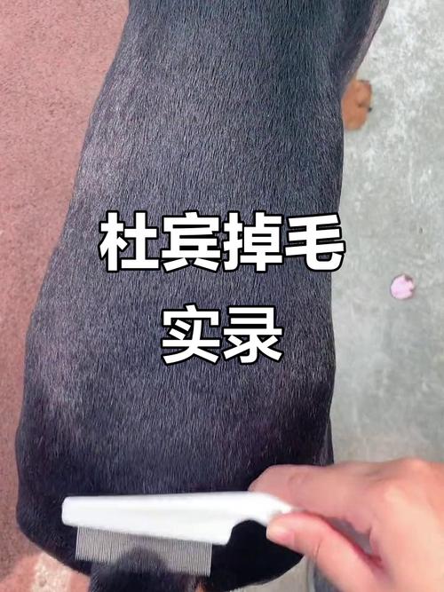 八字命理中阴阳两极的奥秘,谁能为我揭开命运之谜? 八字命理中阴阳两极的奥秘,谁能为我揭开命运之谜?