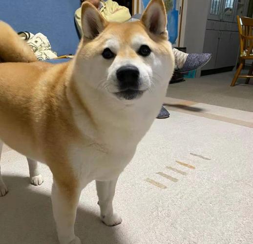 如何选阴宅顺序 如何选阴宅顺序