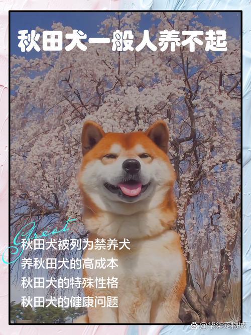 2011年属羊人的运程,属羊的2011年的运势 2011年属羊人的运程,属羊的2011年的运势