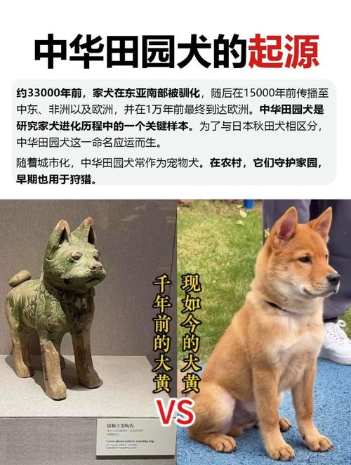 梦见和别人一起过桥 梦见和别人一起过桥