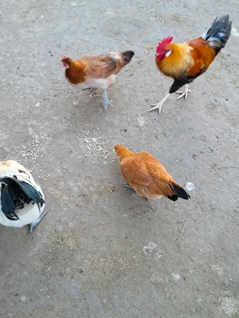 风水住宅后面是断土层吗 风水住宅后面是断土层吗