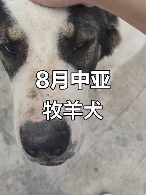 家居家庭风水禁忌如何看 家居家庭风水禁忌如何看