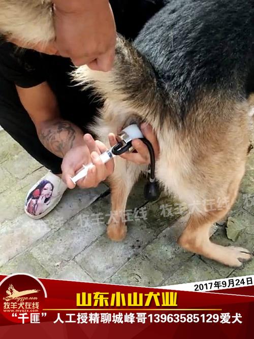 巨蟹座真实一面的样子 巨蟹座真实一面的样子