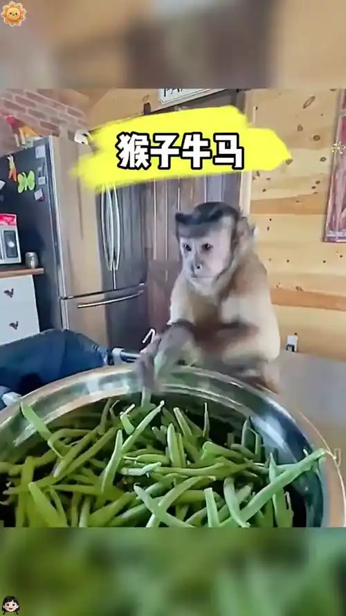 �칫�ҷ�ˮ����ͼ��