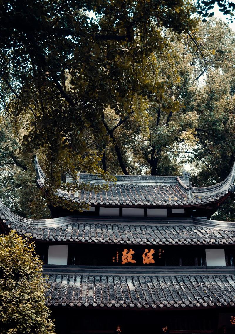 什么面相是寡妇 什么面相是寡妇