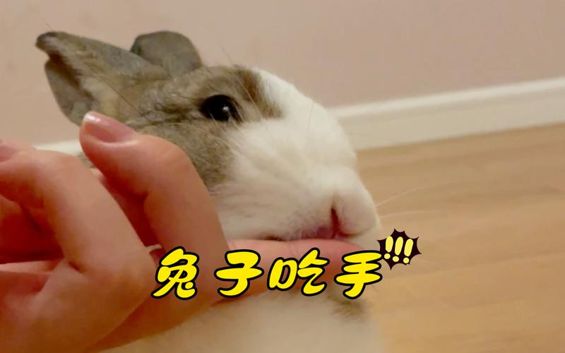 手相要弯着看吗 手相要弯着看吗