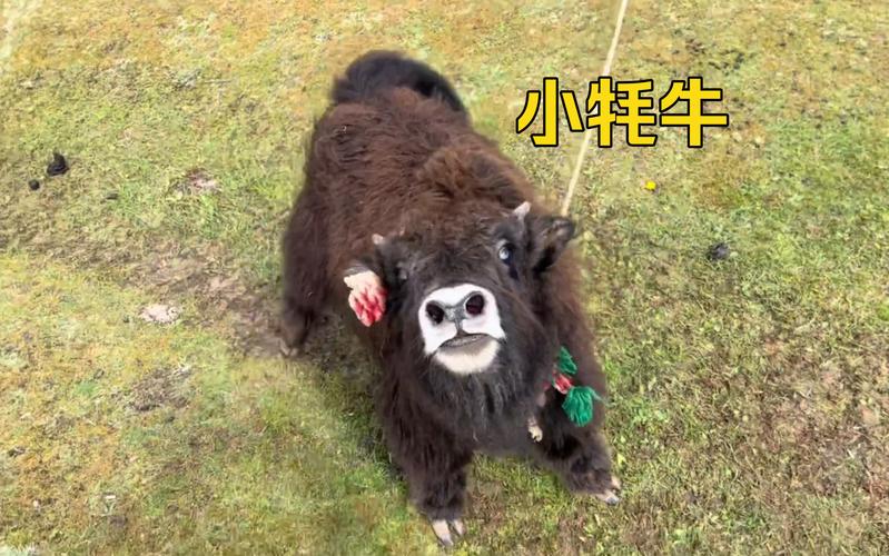 十二星座最喜欢的睡姿 十二星座最喜欢的睡姿