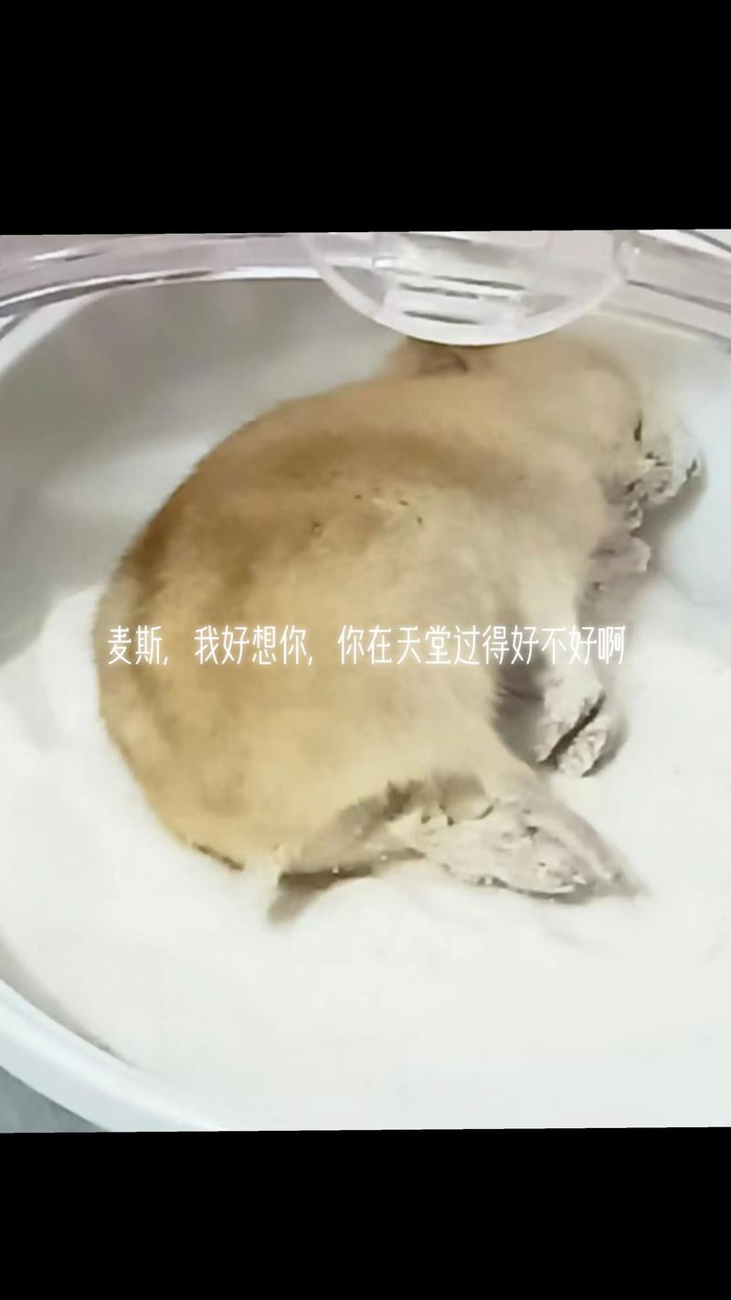 100位香港明星现状 100位香港明星现状