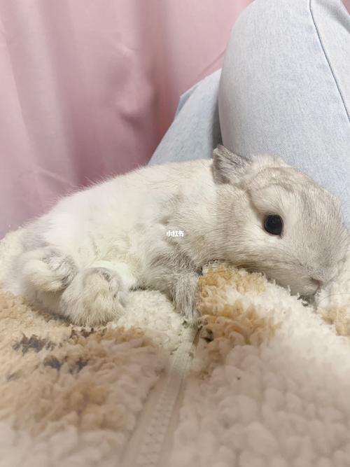 新房房屋装修风水知识大全(房子装修风水学大全介绍) 新房房屋装修风水知识大全(房子装修风水学大全介绍)