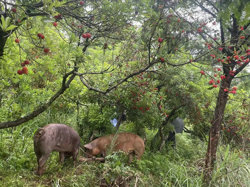 坐艮向坤兼丑未阴宅详解 坐艮向坤兼丑未阴宅详解
