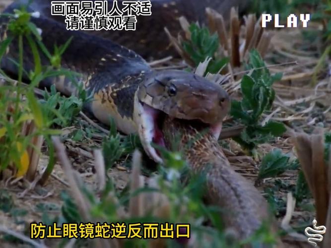 乾隆币可以放在阴宅上吗 乾隆币可以放在阴宅上吗