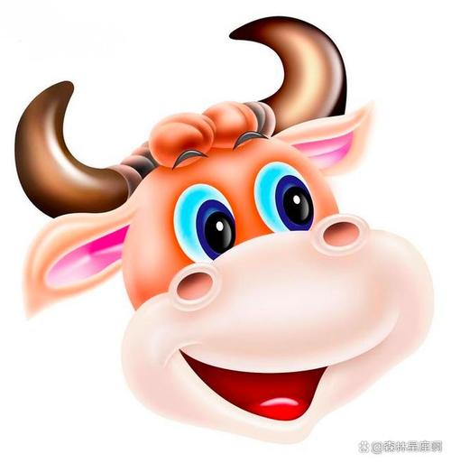 手相可以让家人看吗 手相可以让家人看吗