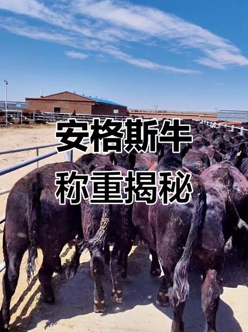 买楼房前有树应注意的风水 买楼房前有树应注意的风水