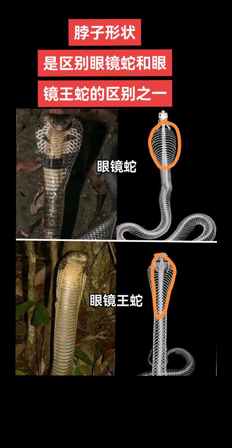 于文华的个人资料简介 于文华的个人资料简介