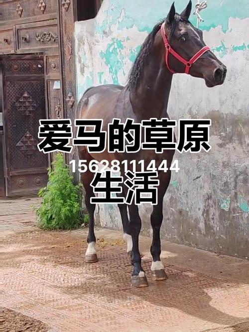 办公桌能放在办公室财位上吗,财务办公桌摆放有 办公桌能放在办公室财位上吗,财务办公桌摆放有