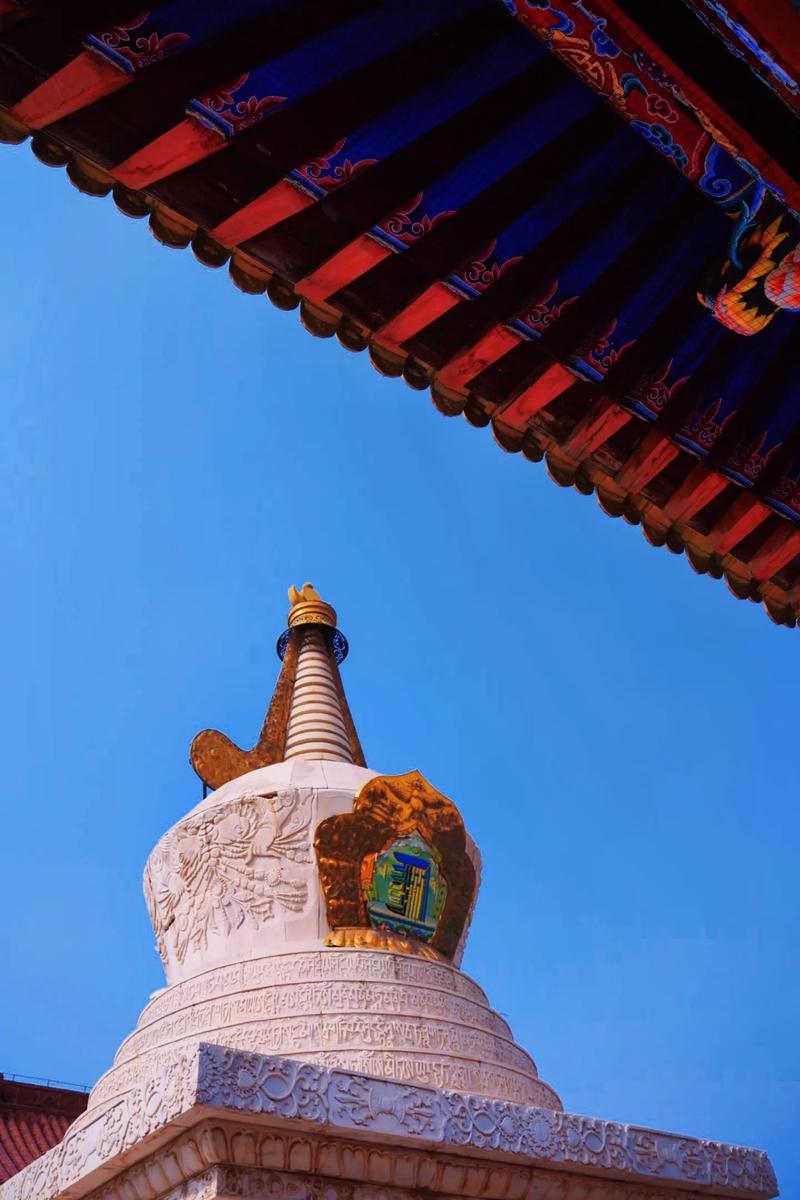 �����Ա�ַ�ĸ�������