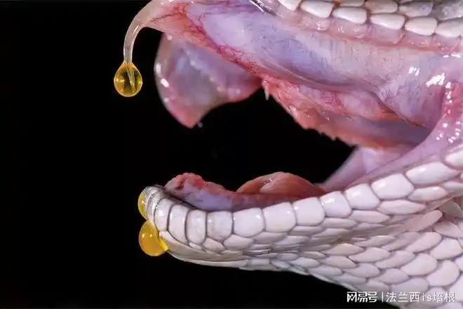 金牛座发财了(金牛座旺财) 金牛座发财了(金牛座旺财)