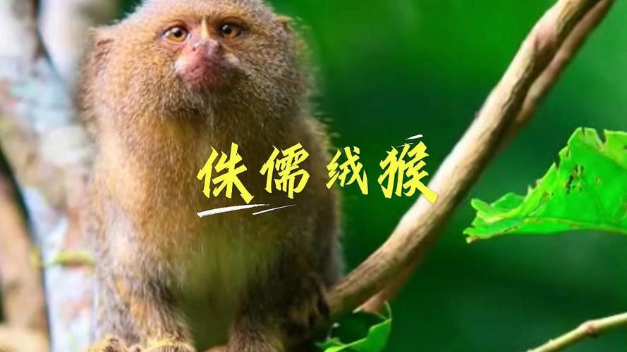 阴宅立向要避开逝者生日吗 阴宅立向要避开逝者生日吗