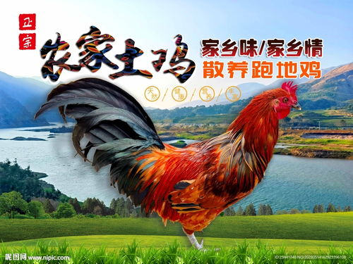 时尚有创意的轮胎公司名字 时尚有创意的轮胎公司名字