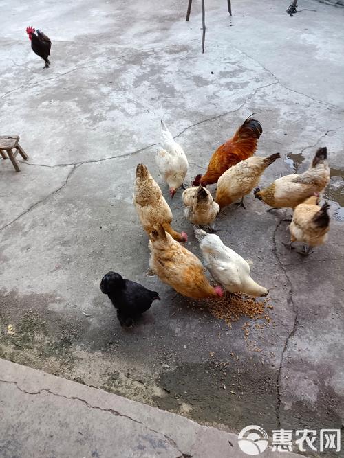 ��һ���춫 ���춫���춫