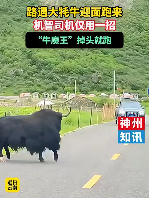 命中有几个孩子查询表头胎女,命中有几个孩子 命中有几个孩子查询表头胎女,命中有几个孩子