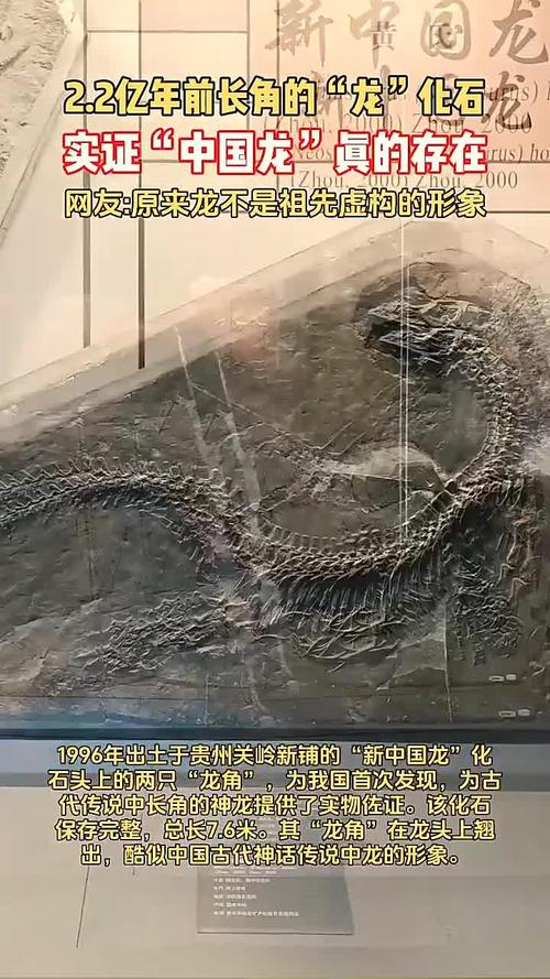 戚蓝尹的简介-戚蓝尹资料 戚蓝尹的简介-戚蓝尹资料