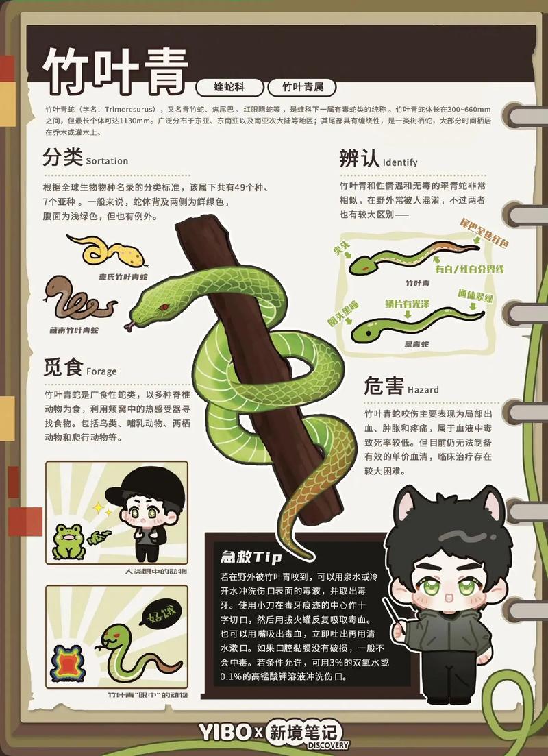 阴宅亏房份应怎样改 阴宅亏房份应怎样改