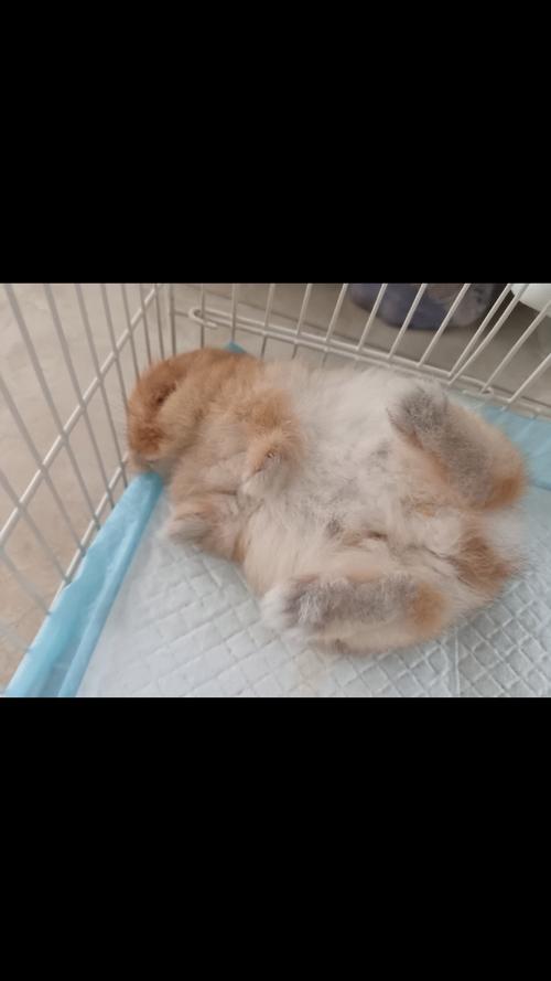 Ů��˫�հ�������