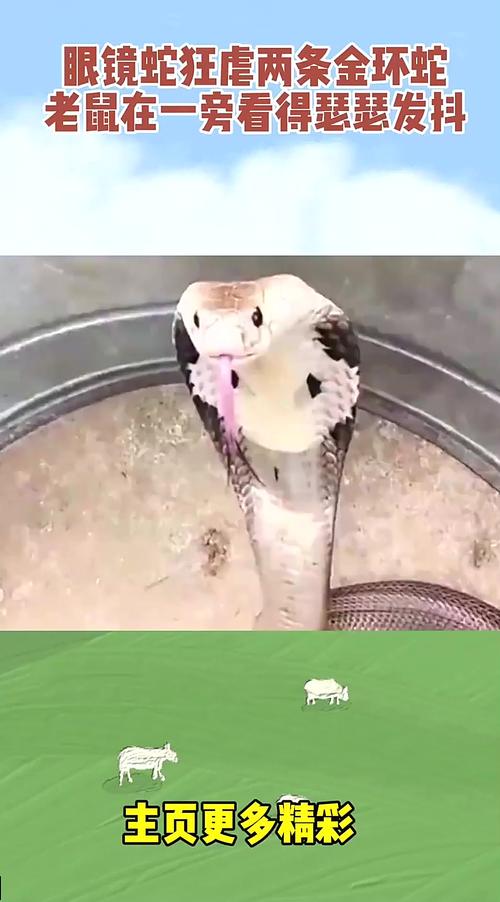 ��լ�������һ�
