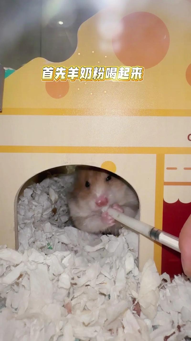 大暑祝福语,2017年大暑祝福短信 大暑祝福语,2017年大暑祝福短信