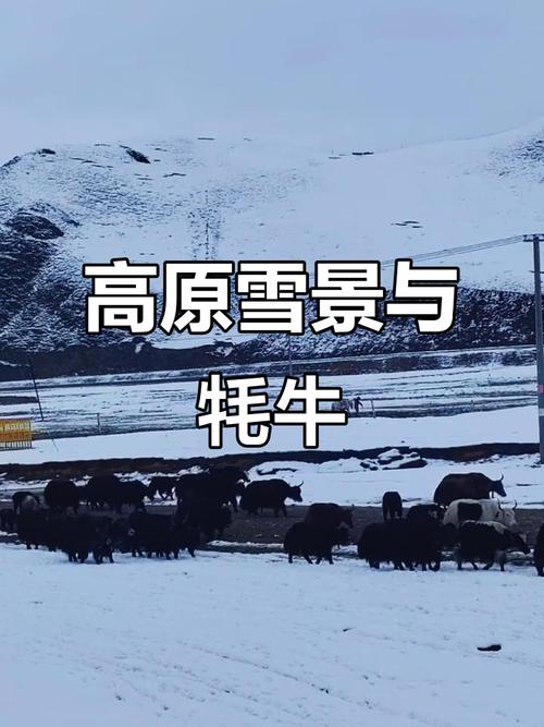 论伤官 论伤官