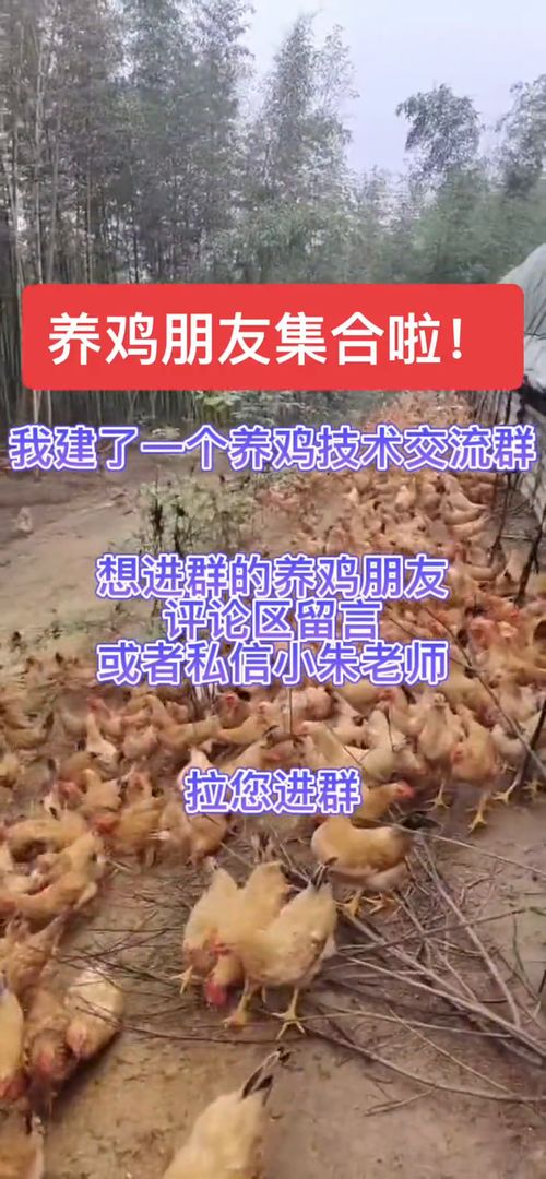 梦见蛇咬自己是什么预兆女性 梦见蛇咬自己是什么预兆女性