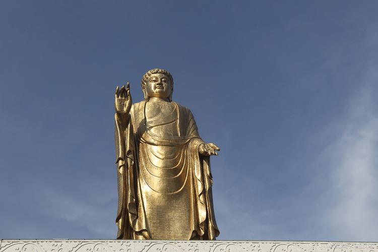 鲤鱼看日风水养金鲤鱼在风水上有何说法? 鲤鱼看日风水养金鲤鱼在风水上有何说法?