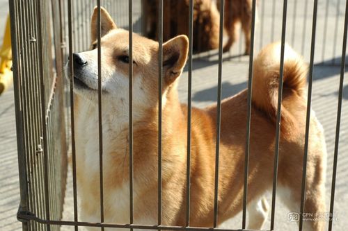 阴宅可以拿回家吗 阴宅可以拿回家吗