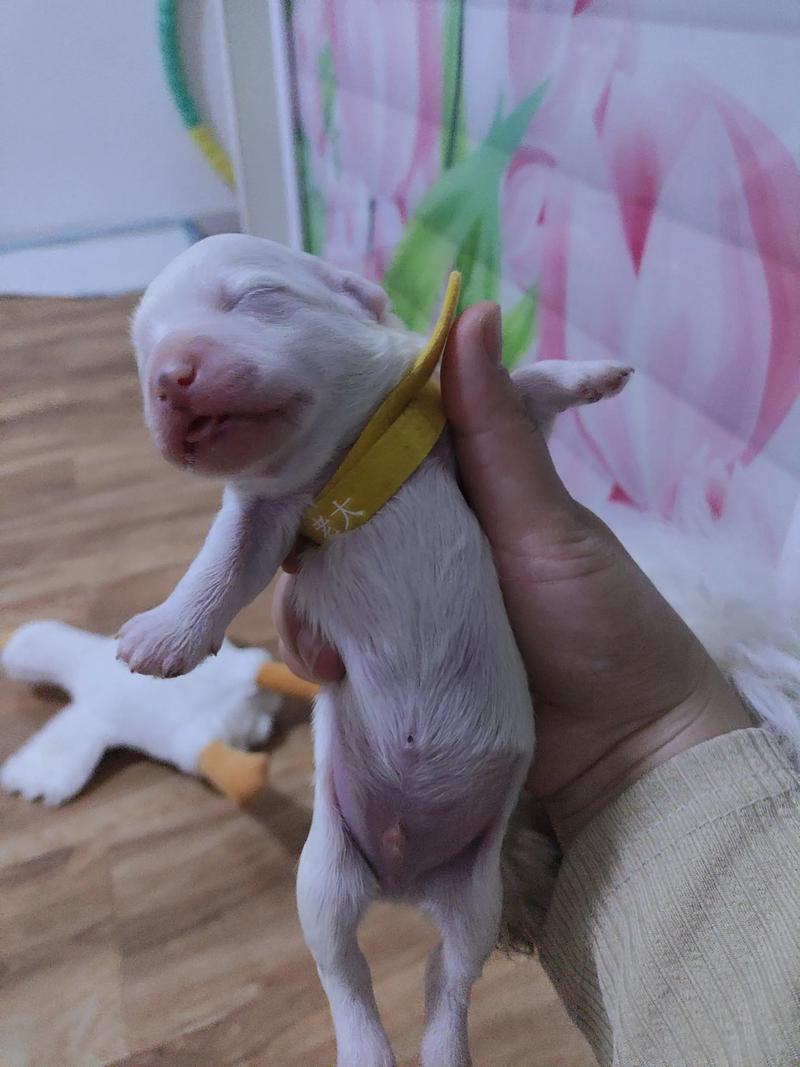 唐诗三百首的诗词大全 唐诗三百首的诗词大全