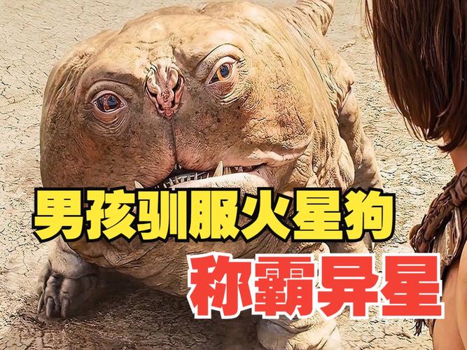 老黄历2025年10月份嫁娶日,2010年10月份老黄历订 老黄历2025年10月份嫁娶日,2010年10月份老黄历订