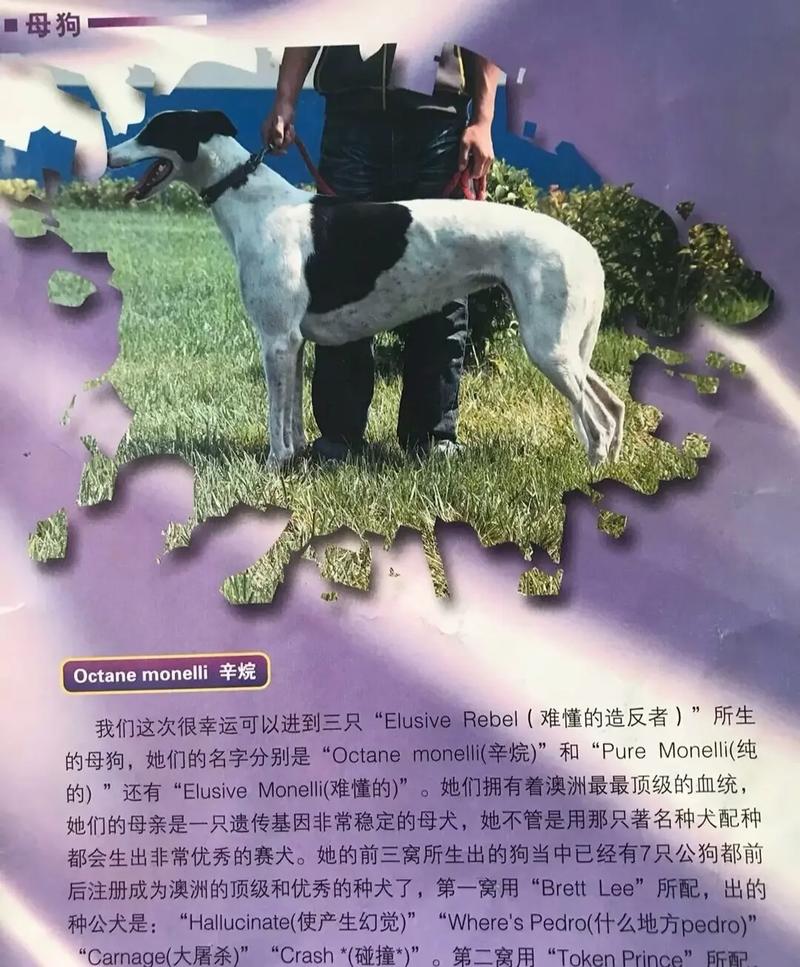 怎样看手相有积蓄 怎样看手相有积蓄