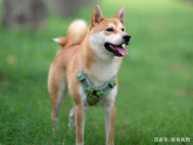 15画的名字吉凶 21画名字吉凶 15画的名字吉凶 21画名字吉凶