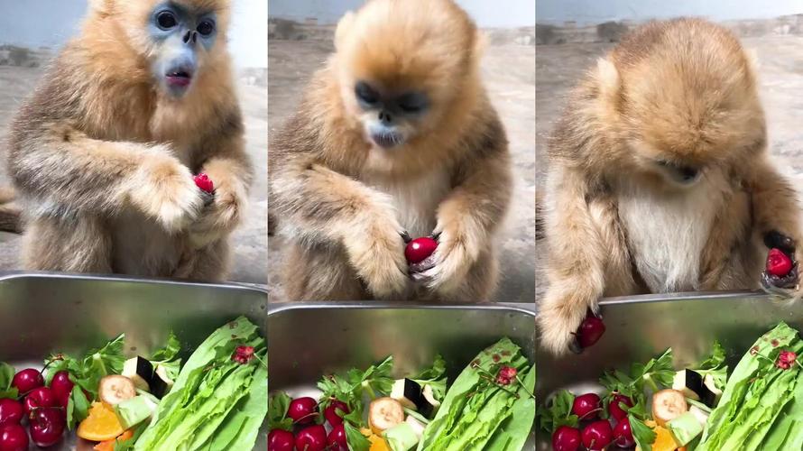 张云龙个人资料简介龙 张云龙个人资料简介龙