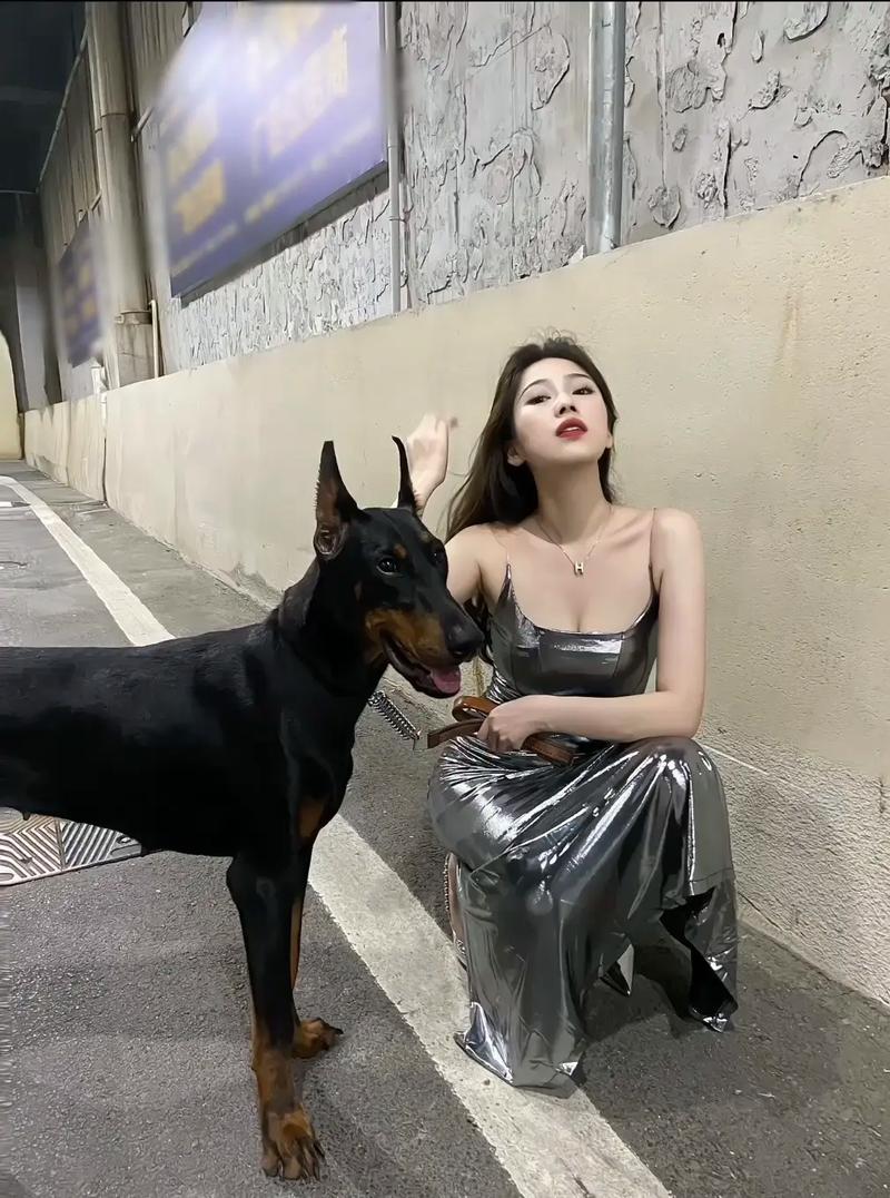 �������Ƿ�������Ф������������Ϻ���������Ф