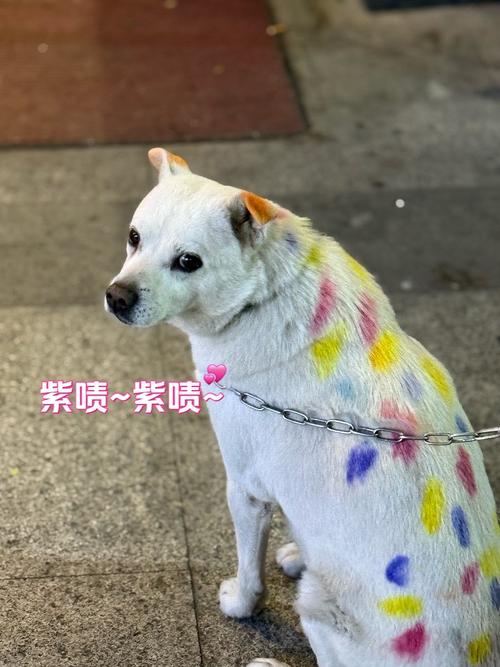别墅庭院做弓形水池风水 别墅庭院做弓形水池风水
