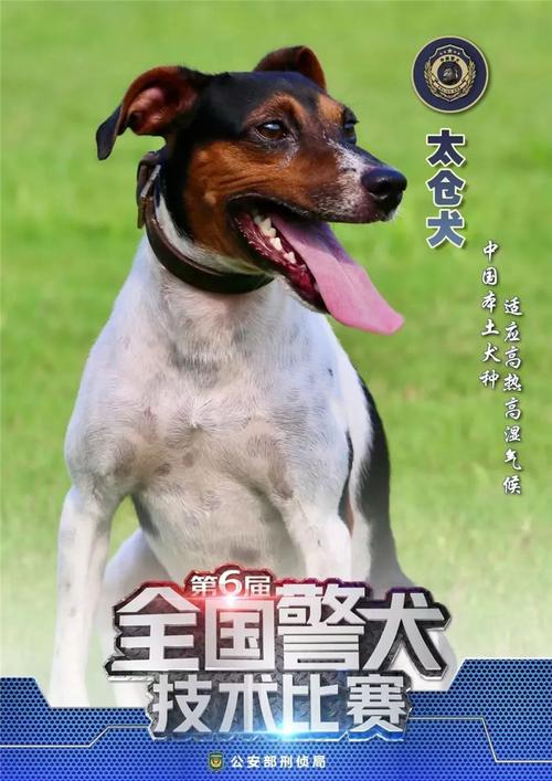 权振东人质权振东 权振东人质权振东