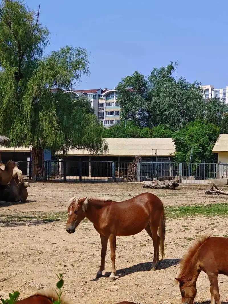 租房阴宅什么样的 租房阴宅什么样的