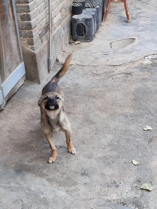 朴有天演员朴有天现状 朴有天演员朴有天现状